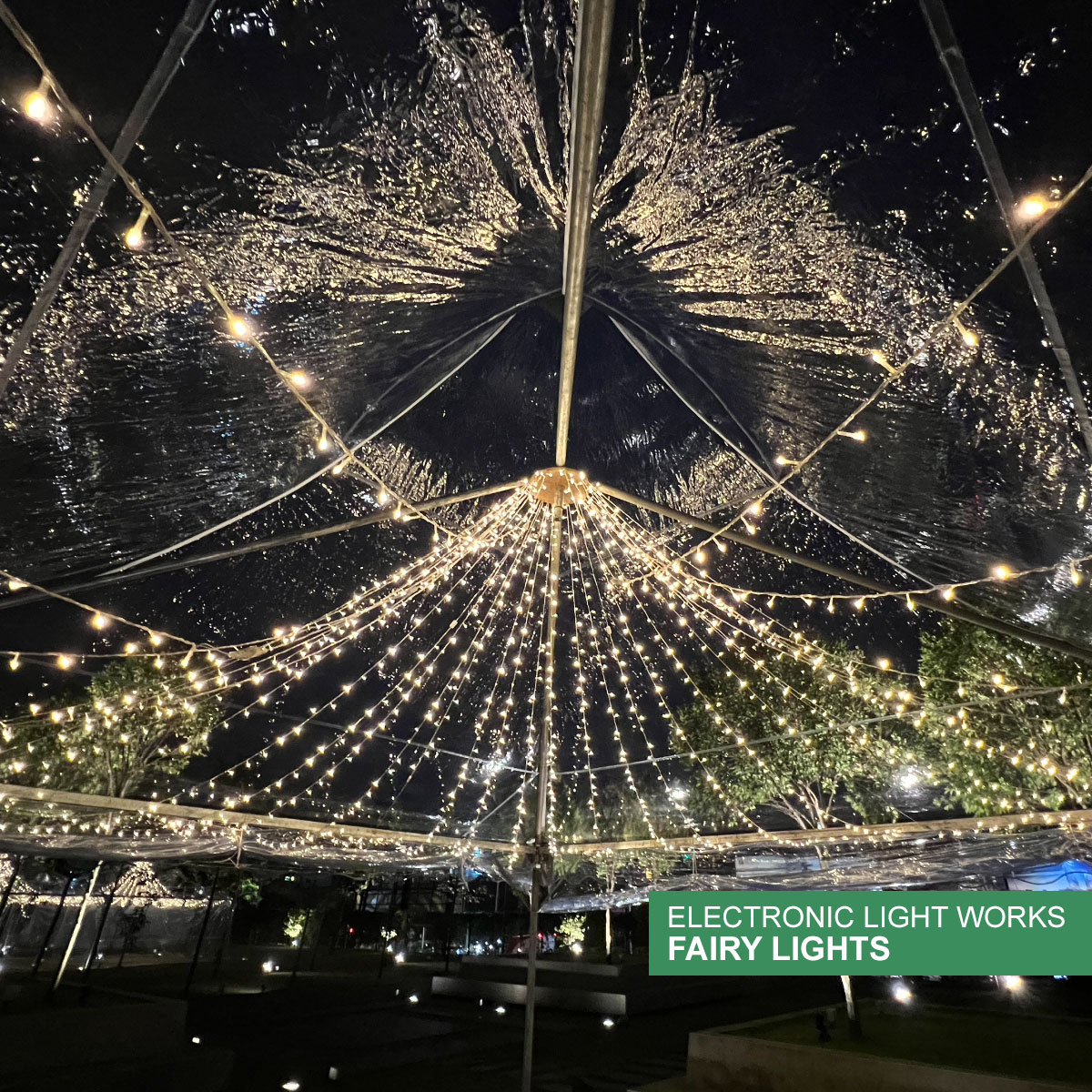 Arabian Canopy - Image 7