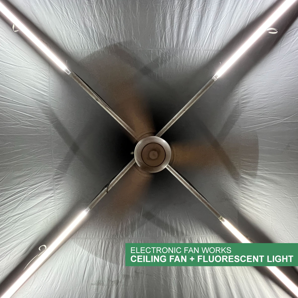 Arabian Canopy - Image 8